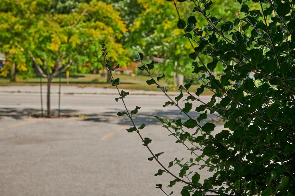 Samuels Boutique Hotel Main image